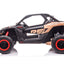 Maverick Buggy - Can-Am